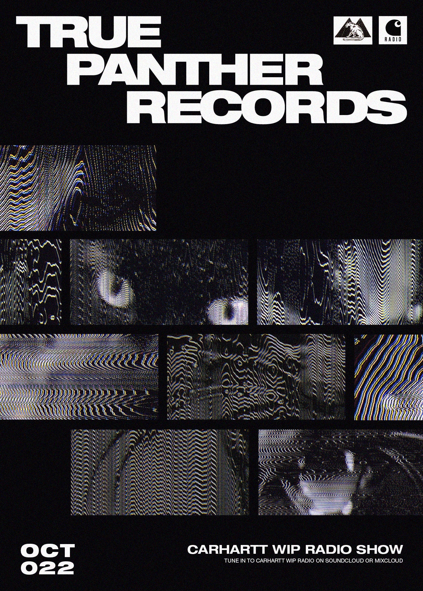 Label Feature: True Panther Records