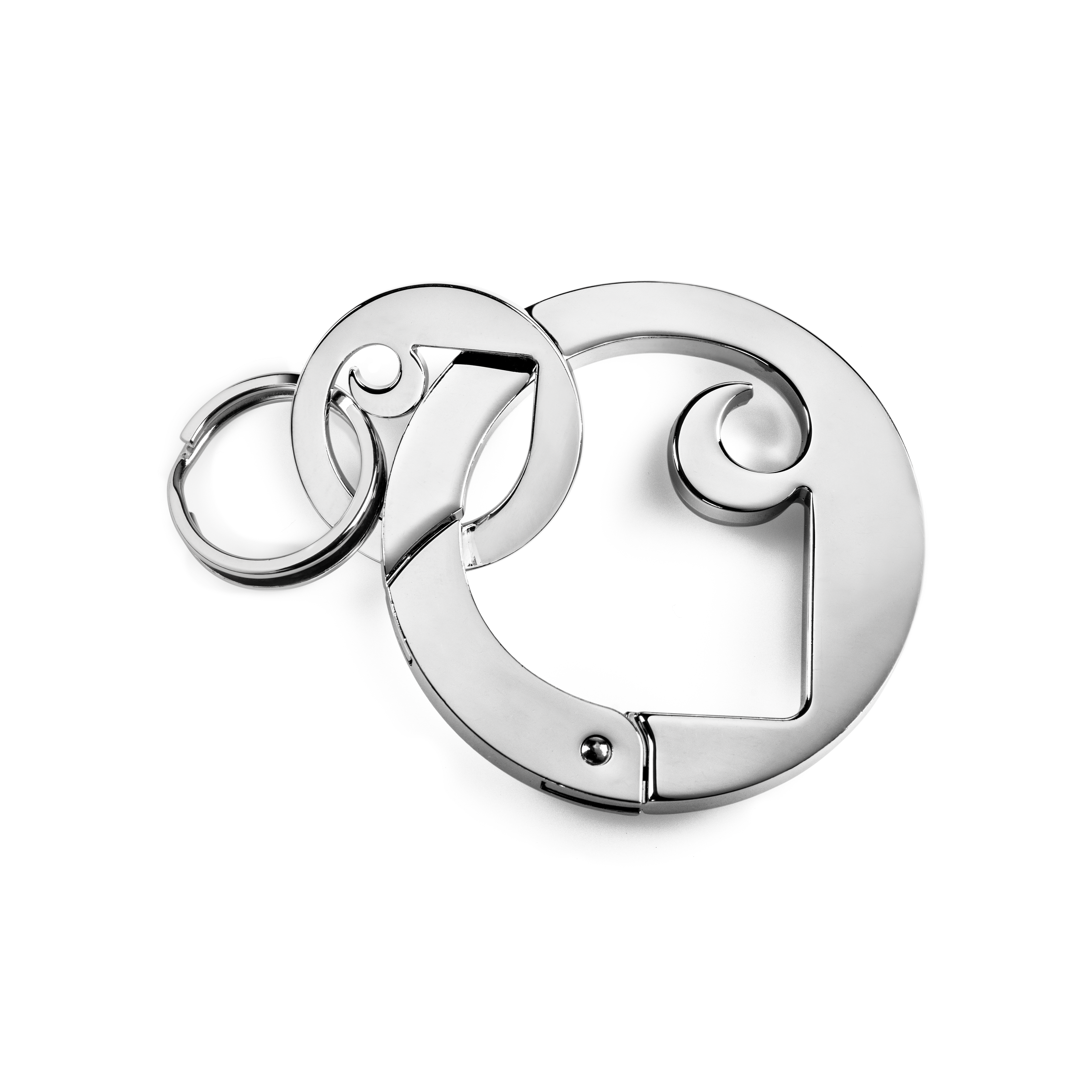 Charms Carabiner Keychain