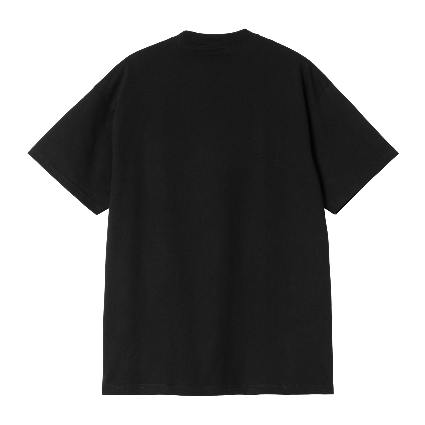 S/S Theory And Practice T-Shirt